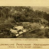 Nachtcollege: koffie in de Hortus: van koloniale waar naar fair trade