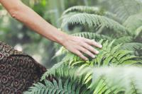 Guided tour for the blind and partially sighted