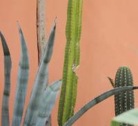 Gelegenheidsfotografie tot 4 personen